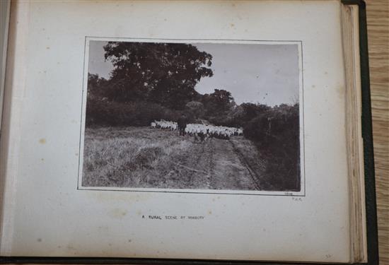 A Victorian / Edwardian photograph album, Views of Norwood and Streatham